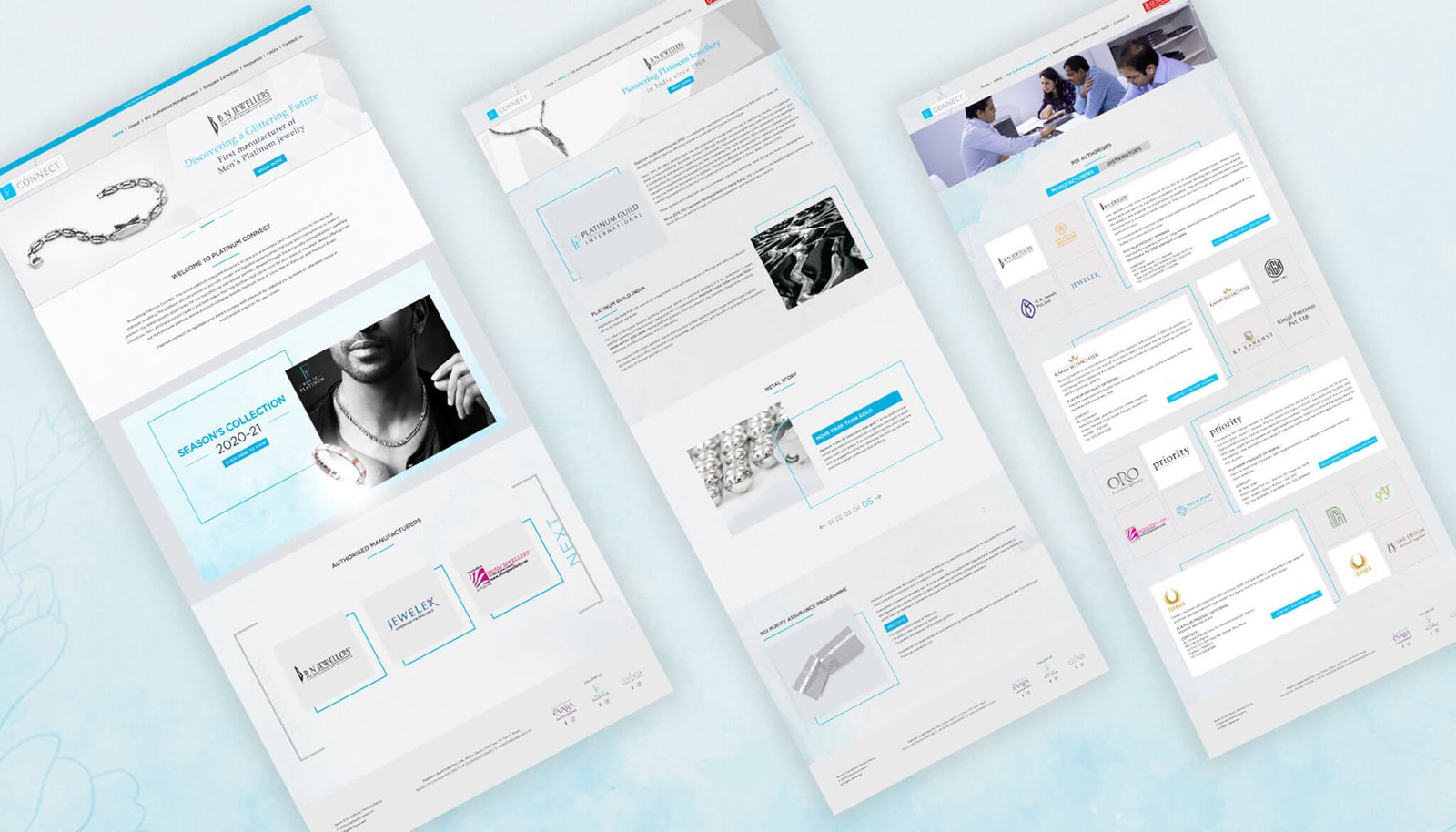 Platinum Connect Landing Page